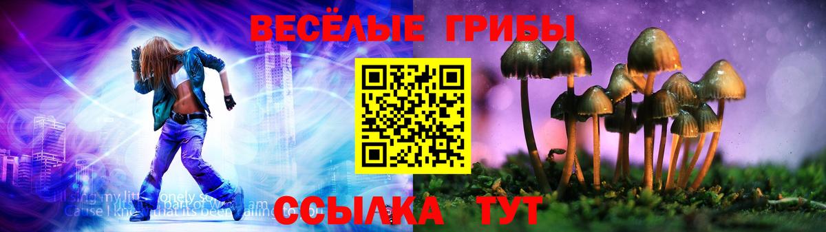 даркнет сайт  Галлюциногенные грибы GOLDEN TEACHER  Вход с VPN  Пенза 
