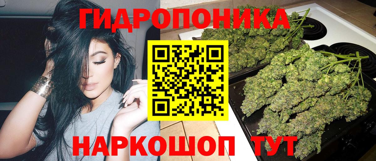 Шишки марихуана OG Kush Пенза